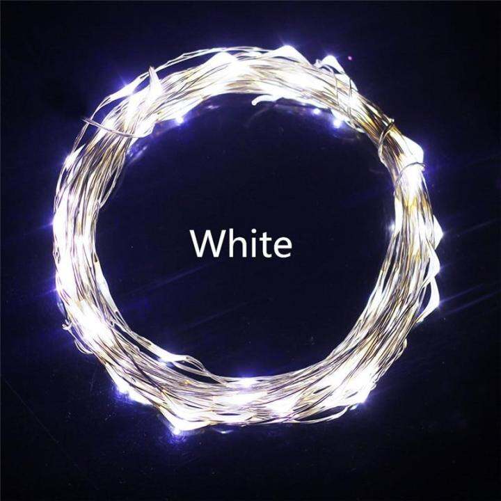 high-quality-wangshenghui-ไฟราวแอลอีดีลวดทองแดง33ft-10m-ไฟ-led-100สีฟ้าขาวแบบอบอุ่น-led-สำหรับอุปกรณ์ตกแต่งปาร์ตี้งานแต่งงาน-dc-12v