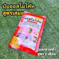 ออส แดง เล็ก // ออสโมโค้ท สูตรเสมอ 13-13-13 บำรุงต้นสมบูรณ์ 100 กรัม ปุ๋ยเม็ด ปุ๋ยละลายช้า แคคตัส กระบองเพชร