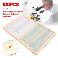 100Pcs/Set Biological Microscope Slides Sample Glass Basic Animal Plant Insect Science Education Biological Specimen Cover Slip