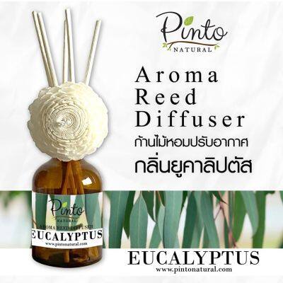 Pinto Natural Aromatic Reed Diffuser ก้านไม้หอมปรับอากาศ กลิ่นยูคาลิปตัส Eucalyptus ขนาด 50ml. และ 100ml.