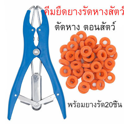 ถูกสุด คีมยืดยางรัดหางสัตว์  2 in 1 คีมรัดหางแพะ สีฟ้า ใช้รัดหางสุกร หมู ใช้ตอนแพะ แกะ แถมฟรียางรัด 20 ชิ้น