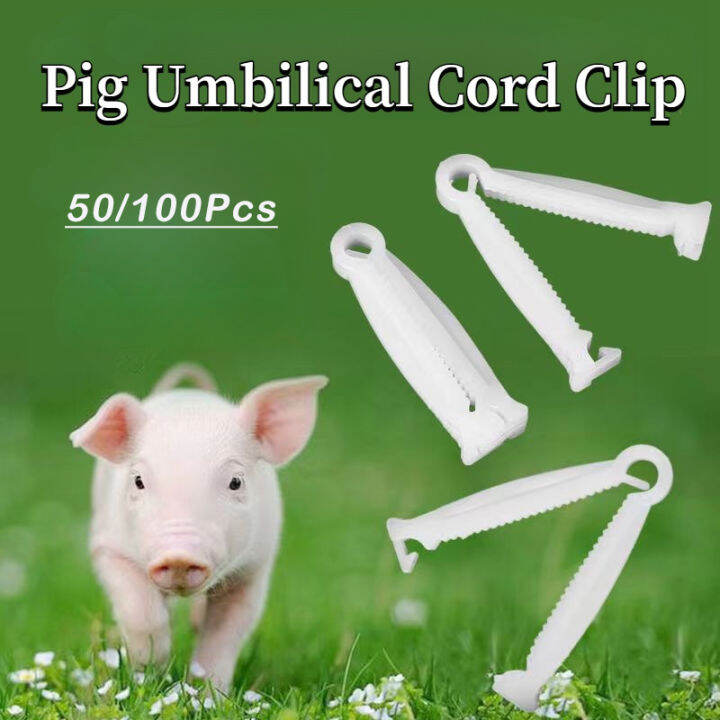 50/100/250Pcs Disposable Umbilical Cord Clamp Animal Sterile Plastic
