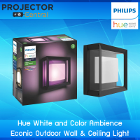 Philips Hue Econic Outdoor White &amp; Color Wall &amp; Ceiling Light Fixture (Hue Hub Required, Works with Alexa, Apple Homekit &amp; Google Assistant)