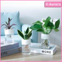 II-AURORA รดน้ำต้นไม้พลาสติกตั้งโต๊ะทนทาน2ชิ้นหม้อดอกไม้ไฮโดรโปนิกภาชนะใส่ต้นไม้บอนไซแจกันต้นไม้