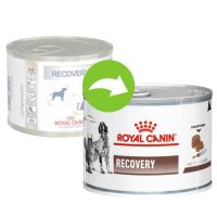 (ส่งฟรี ลด50%)Royal Canin Recovery 195 g. อาหารสำหรับสุนัขหรือแมวป่วยพักฟื้น