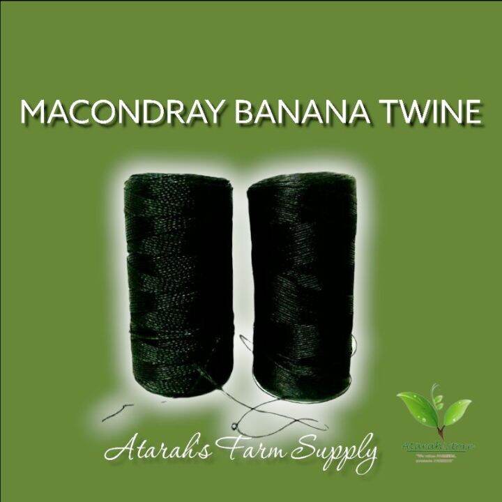 Banana Twine 1ply/ 2ply/ 3ply/ 4ply (Pang balag sa Ampalaya) for Plants