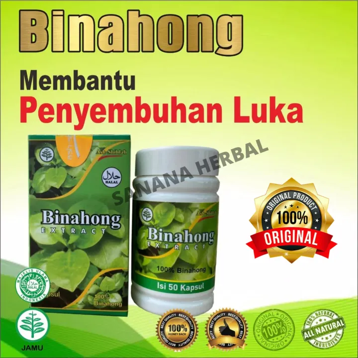 Herbal Ekstrak Kapsul Daun Binahong 60 Kapsul Ash Shihah Lazada