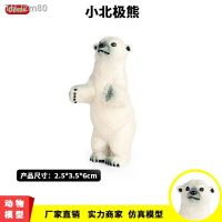 ? ของขวัญ Simulation of static polar bear baby animal model early childhood cognitive toys plastic decorative furnishing articles