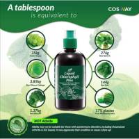 ส่งด่วน คลอโรฟิลล์ พลัส Liquid Chlorophyll Plus  ชนิดน้ำ 500 มล. ของแท้100% (คลอโรฟิลล์คอสเวย์) ล้างสารพิษ ต้านอนุมูลอิสระ