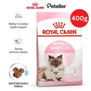 Buy Lactating Cat Food online Lazada .ph