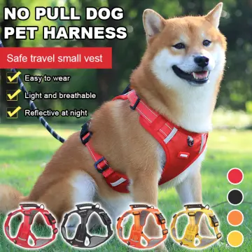 Dog harness clearance lazada