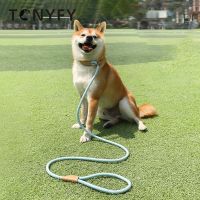 Nylon Dog Traction Rope for Medium Large Pet Dog Walking Training P Chain Collar Dog Leash Easy Control Adjustable Pet Supplies