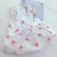 New Summer Pet Clothes Summer New Floral Pumpkin Suspender Skirt Dog Cat Thin Vest Love Strawberry Pet Tutu Birthday Dress Dresses