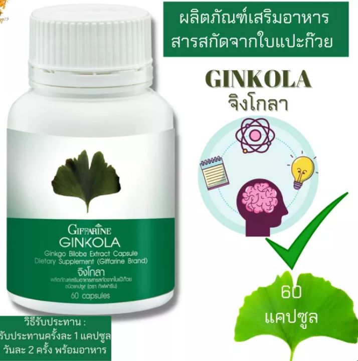 ส่งฟรี-ใบแปะก๊วย-สารสกัดใบแปะก๊วย-จิงโกลา-กิฟฟารีน-ginkola-giffarine