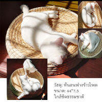 Handcrafted หวายหวายแมวเตียงนอนโซฟาฤดูร้อนเชือกเย็นรอบเตียงบ้านสัตว์เลี้ยงรังลูกแมวเลานจ์โซฟาคอนโดคิตตี้นอนสุนัข