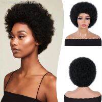 BCHR Afro Kinkly Curly Wigs Synthetic Wig for Black Women Natural Color High Temperature Fiber [ Hot sell ] Decoration Center