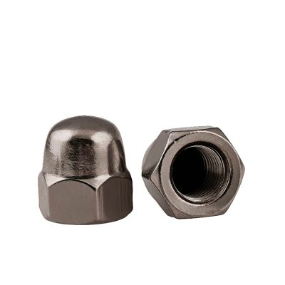 5-20Pcs/Lot DIN1587 Pure Titanium Cap Nut M4/M5/M6/M8/M10/M12/M16/M20 Hex Cap Decorative Cover Semicircle Acorn Nut Ball Head Nails  Screws Fasteners