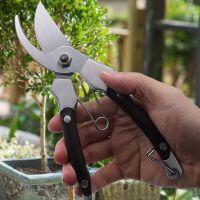 Plastic Handle Shears Secateurs Pruning Shears For Soil Loosening Stainless Steel Scissors Handle Scissors Sharp