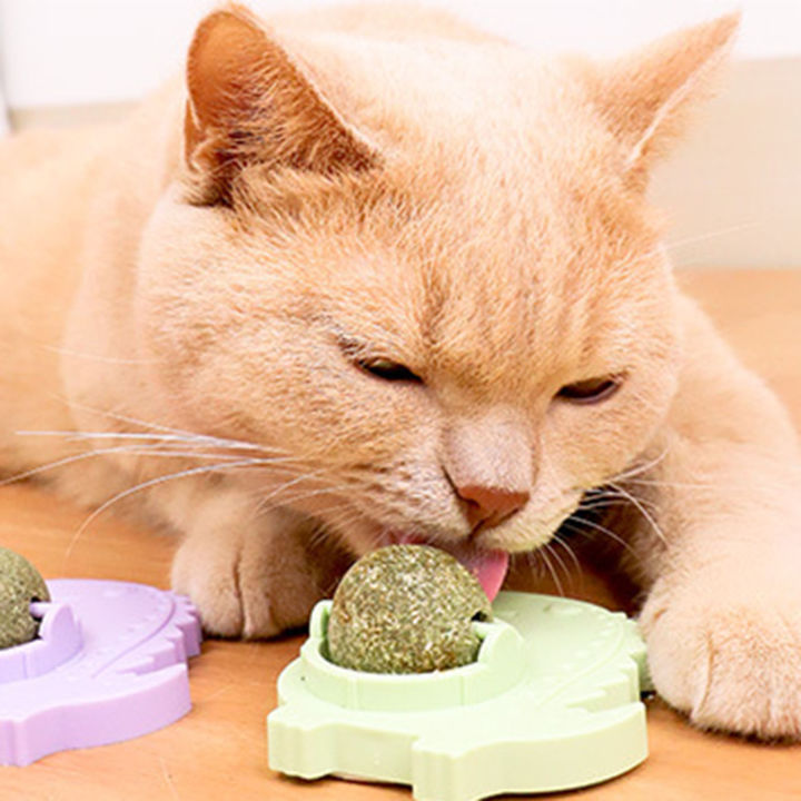 สติกเกอร์ติดผนังสุดสร้างสรรค์สำหรับสัตว์เลี้ยงมินต์บอลอุปกรณ์สำหรับลูกแมวของเล่นสำหรับเลียและเลีย