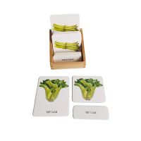 Montessori Language Materials Three Part Cards Vegetable Learning Resources for Kids Early Childhood Education Game Girl Boy Flash Cards Flash Cards