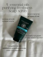 LOCCITANE Purifying Freshness Scalp Scrub 150 ml.