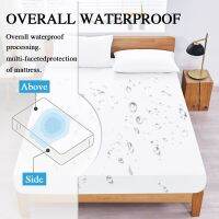 100% Waterproof Fitted Bed Sheet with Elastic Band Anti-slip Cover Mattress Protector for Single Double King Queen160 180 200