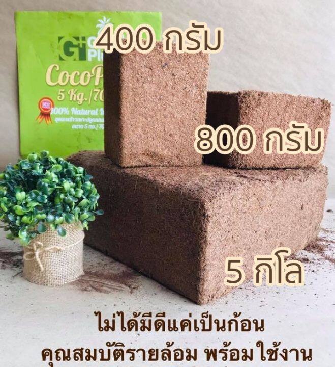 coco-peat-อัดก้อน-ขุยมะพร้าวอัดก้อน-growplus-cocopeat-plus-ขุยมะพร้าวอัด-10kg-ขุยมะพร้าวแห้ง-โคโค่พีช-โค่โค่พีท-100-ลิตร-cocopeat-ขุยมะพร้าว-ขุยมะพร้าวก้อน