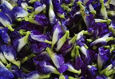 ขายส่ง 100 กรัม ดอกอัญชัญตากแห้ง Butterfly pea flower ออร์แกนิค ธรรมชาติ ปลอดสารเคมี สมุนไพร น้ำอัญชัญ ดอกอัญชัญทำขนม อัญชัญผง สีผสมอาหารธรรมชาติ
