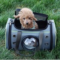 Pet Carrying Case Bag Comfortable Space Capsule Portable Cat Handbag Breathable Dog Out Bag Strap Carrier Travel