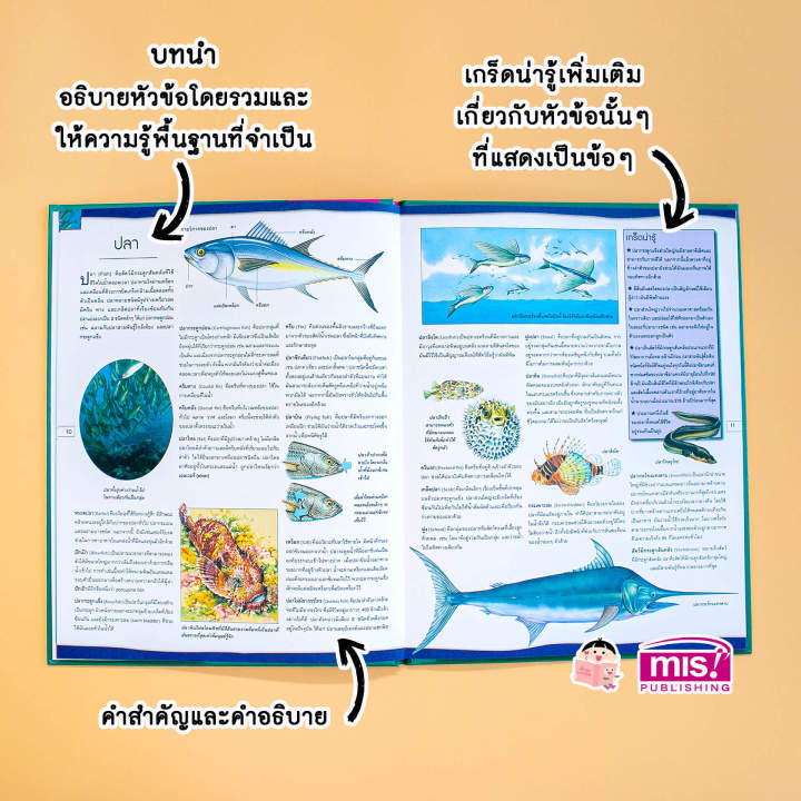 หนังสือ-สารานุกรมประกอบภาพ-มหาสมุทร