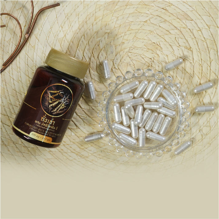 cordyceps-plus-multi-vitamin-b-ถั่งเช่าผสมมัลติวิตามิน-บี-30-แคปซูล-เซต-12-กล่อง-แถมฟรี-กาแฟผสมถั่งเช่า-10-ถุง-by-ดีลเด็ด