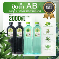 ธาตุอาหารพืช AB สูตรเพิ่มธาตุเหล็ก ปุ๋ยไฮโดรโปนิกส์ ปุ๋ยAB ปุ๋ยน้ำ  สำหรับปลูกผักไร้ดิน ผักสลัด ผักไทย ผักจีน