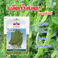 เมล็ดถั่วลันเตา นครพิงค์ ตราศรแดง (Pea) เมล็ดพันธุ์ถั่วลันเตา เมล็ดพันธุ์ผักซองประหยัด เมล็ดพันธุ์ผัก เมล็ดผักสวนครัว ศรแดง