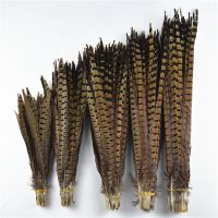 Wholesale 25-75CM 10-30 quot; Ringneck Pheasant Tail Feathers Crafts Wedding Decorations decor natural feathers plume