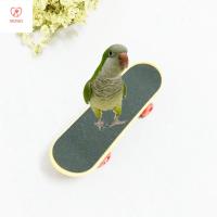 DFSID Funny Colorful Training Accessories Parakeet Pet Stand Perch Bird Accessories Skateboard Bird Supplies Bird Toy