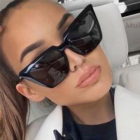 HKNA Cat Eye Sunglasses Women Vintage Oversized Sun Glasses Women Luxury Brand Cat Eye Shades for Women Wholesale Gafas De Sol