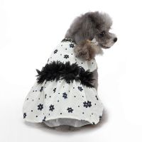 Pet Dog Dress Wedding Clothes Princess Wedding Skirt Luxury Soft Lace Dresses Puppy Lady Clothes for Girl Yorkshire Dogs Dresses