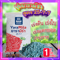 ปุ๋ยยารามีร่า 1 กิโล ? สูตร 25-7-7 ปุ๋ยเร่งต้น ปุ๋ยเร่งใบ เร่งเขียว เร่งการแตกยอด รากเเข็งเเรง เร่งการเจริญเติบโตของพืช??