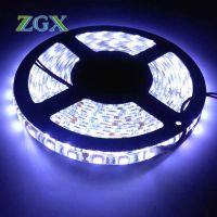 DC12V หลอดไฟ Led Strip SMD 5050เทปริบบิ้นแบบยืดหยุ่นสีขาว5ม.ม้วนบรรยากาศคริสต์มาสตกแต่งไม่กันน้ำสำหรับห้องครัวที่บ้าน *