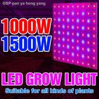 ✉มี Grow เต็มรูปแบบโคมไฟในบ้านไฟบอร์ดหลอดไฟ1000W 1500W