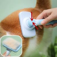 Dog Combs Self-cleaning Cat Brush Massage Dog Brush One Button Pet Hair Remover Pet Grooming Cleaning Tools Comb Cat Accessories Brushes  Combs