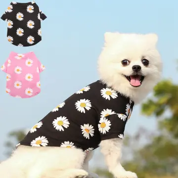 Dog Coat Giá Tốt T08/2024 | Mua tại Lazada.vn