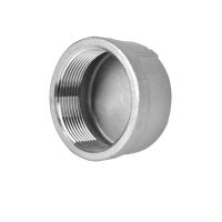 1/8 1/4 3/8 1/2 3/4 1 1-1/2 2 3 4 BSP NPT Female Round End Cap 201 304 316 Stainless Steel Pipe Fitting Water Gas Oil