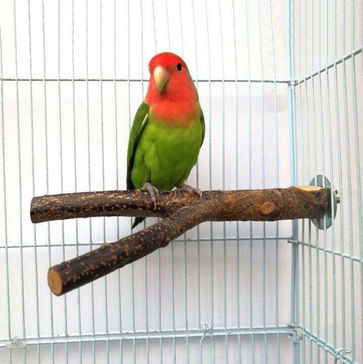 15cm-pet-parrot-raw-wood-branch-hanging-wooden-bird-natural-tree-branch-perch-stand