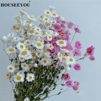 Real Natural Eternal Preserved Dried Flower DIY Helichrysum Material Wedding Party Home Decor Daisy Bouquets Photography Props