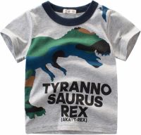 IFOTIME Years Kids Boys Clothes Tee Camouflage Toddler T for 17 Tops Crewneck Sleeve Shirts Dinosaur Short (a-Grey, 5-6 Years)