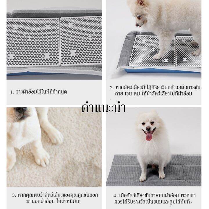 bhq-pet-แผ่นรองฉี่สุนัข-แผ่นรองฉี่-รุ่นชาโคล-ยถ่านหินคาร์บอน-ช่วยฝึกขับถ่าย-ระงับกลิ่น-ซึมซับไดีดี-ยิ่งขึ้น-มี-4-ขนาดให้เลือก