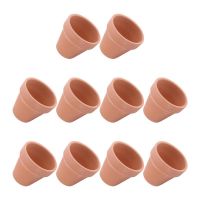 【CC】 10pcs Terracotta Pot Pots Succulent for Garden Cactus Cotta