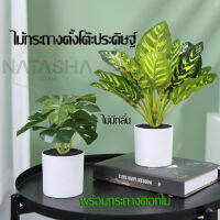 Plant-S ต้นไม้จำลอง ตั้งโชว์โต๊ะทำงาน ตกแต่งบ้าน ไม้กระถางประดิษฐ์ อุปกรณ์ประกอบฉากถ่ายภาพ