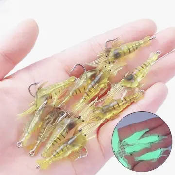 Shop Lowest Price 50pcs Fishing Lure Trap with great discounts and prices  online - Jan 2024